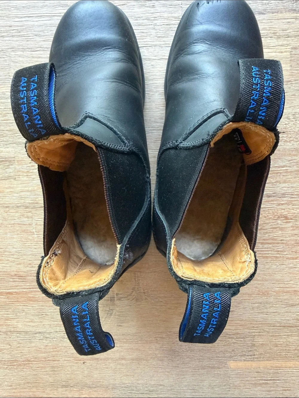 Blundstones | Women’s Thermal #566 3M Thinsulate Black Chelsea with Pull Tab | 7